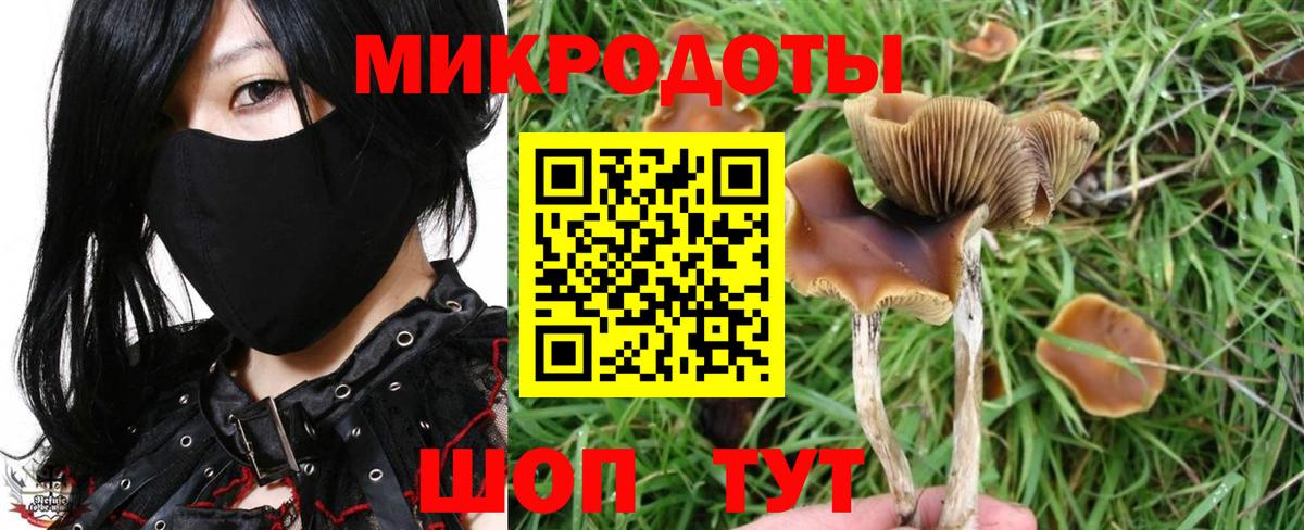 Томск  Галлюциногенные грибы мицелий  Вход с VPN  Псилоцибиновые грибы MAGIC MUSHROOMS 
