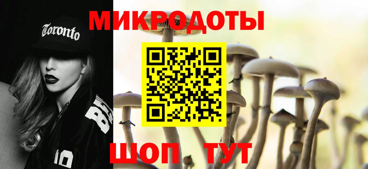 Псилоцибиновые грибы Psilocybine cubensis Томск